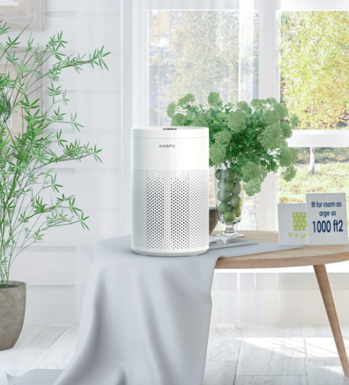 air purifier